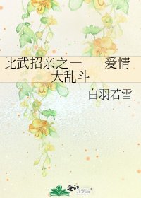 比武招亲之一——爱情大乱斗
