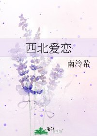 《西北爱恋》
