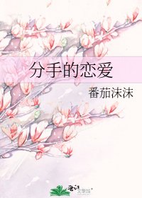 分手的恋爱
