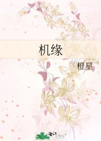 《机缘》