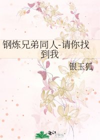 钢炼兄第同人-请你找到我