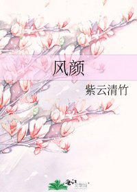 《风颜》