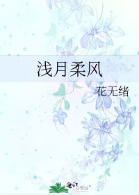 《浅月柔风》