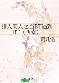 《猎人同人之当BT遇到BT(西索)》