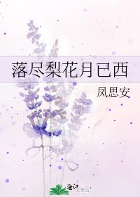 《落尽梨花月已西》