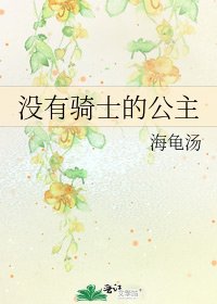 《没有骑士的公主》