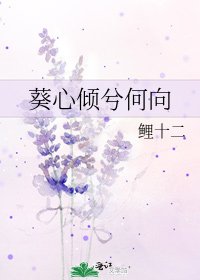 《葵心倾兮何向》
