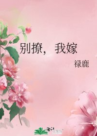 《别撩,我嫁》