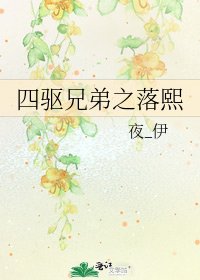 四驱兄弟之落熙