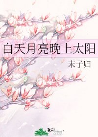 《白天月亮晚上太陽》