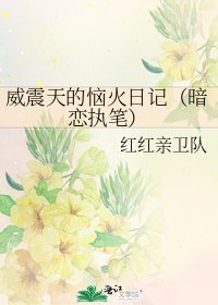 《威震天的恼火日记(暗恋执笔)》