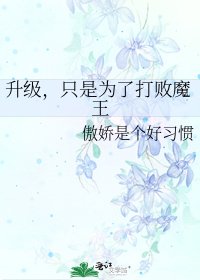 升级,只是为了打败魔王