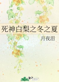 死神白梨之冬之夏