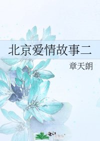 北京爱情故事二