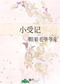 小受记