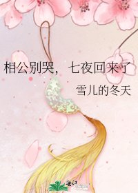 《相公别哭,七夜回来了》