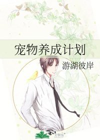 《宠物养成计划》