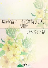 翻譯官2:何須待到天明時