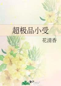 超极品小受