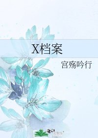 X档案
