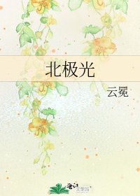 《北极光》