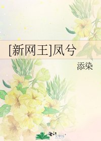 [新网王]凤兮