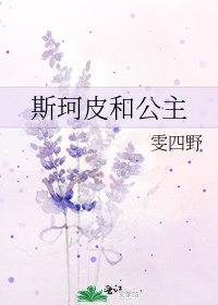 斯珂皮和公主