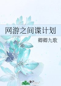 网游之间谍计划
