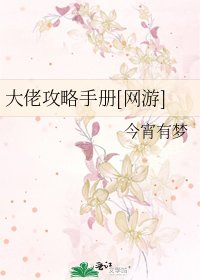 大佬攻略手册[网游]