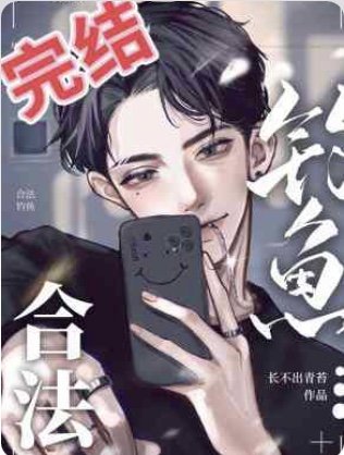 合法钓鱼
