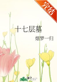 十七层墓