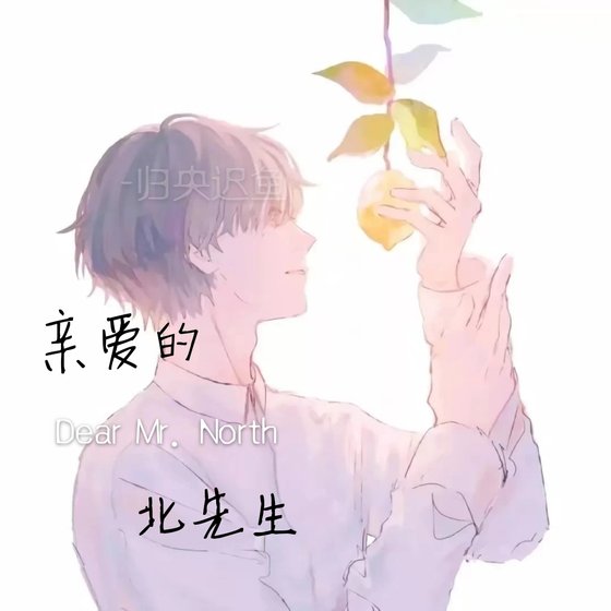 亲爱的北先生