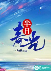 半婿费光