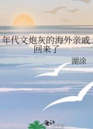 年代文刨灰的海外秦戚回来了