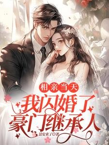 相親當天我閃婚了豪門繼承人