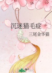 《沉迷猫毛症》