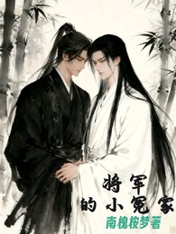 將軍的小冤家