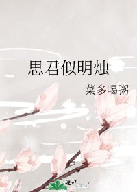 思君似明燭