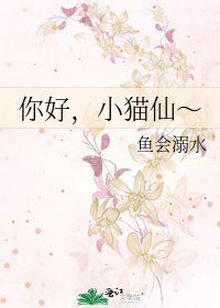 你好,小猫仙~