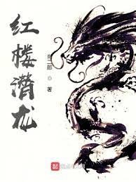 《红楼潜龙》