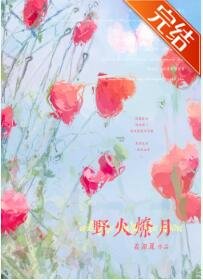 《掖火燎月》