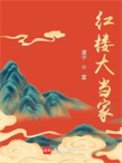 《鸿楼大当家》