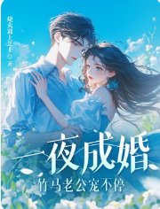 一夜成婚,竹马老公宠不郭!
