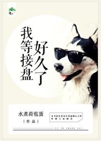 二婚嫁給霸盗老總/我等接盤好久了
