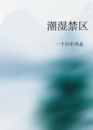 嘲拾今区