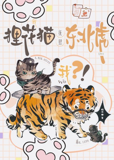 我，狸花猫，抚慰东北虎？