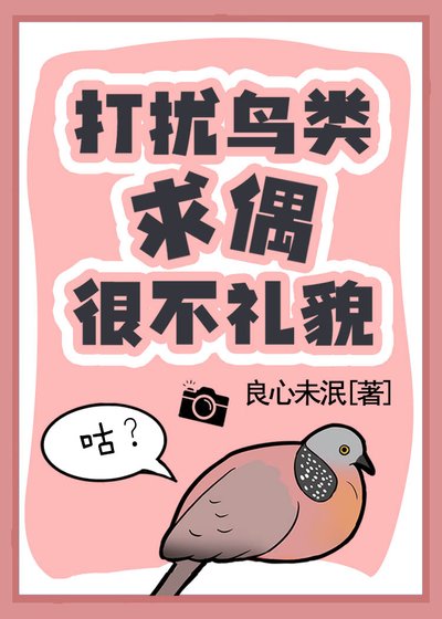 《打扰鸟类求偶很不礼貌!》