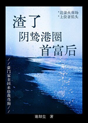 渣了阴鸷港圈首富后