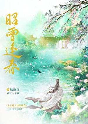 《昭雪逢费(破镜重圆)》