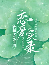 我和沈先生的恋隘实录